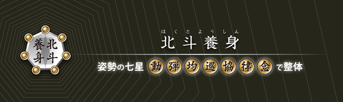 北斗養身 姿勢の七星「動・弾・均・巡・協・律・念」で整体